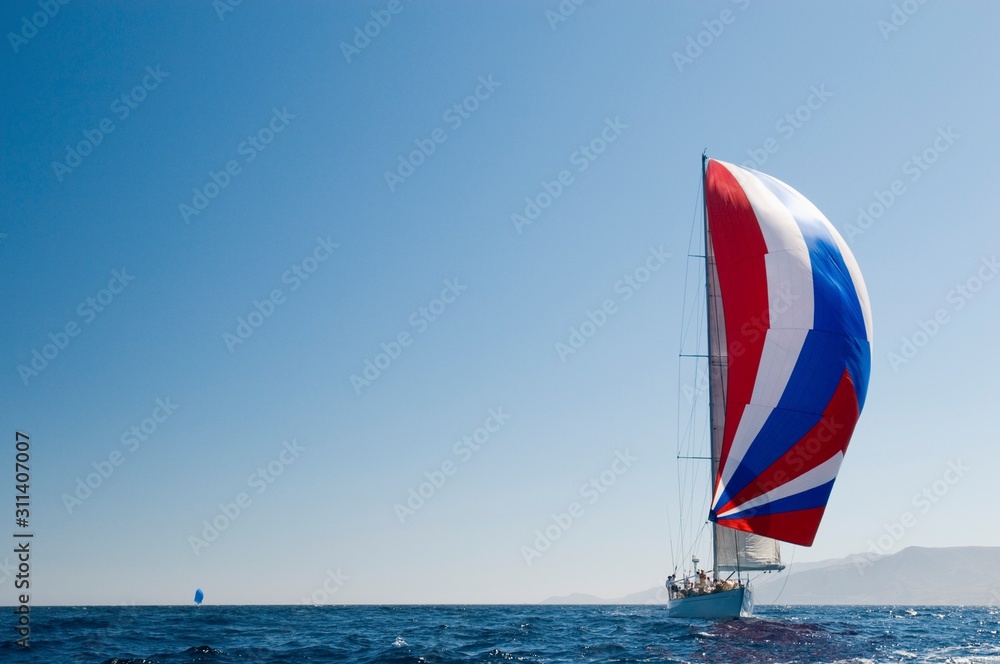 Fototapeta premium 10010041