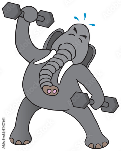 Elephant Exercising with Weights