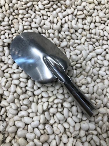 Bunch of white beans with metal scoop