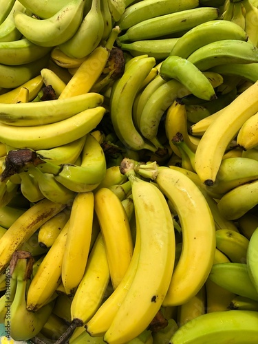 bunch of bananas green and yellow 