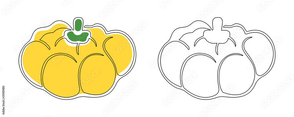 Two contour squash drawn by one solid line with and without substrates of yellow and green colors on a white background. Vector.