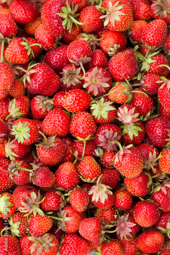 Lots Of Strawberries. Close-Up. Macro.