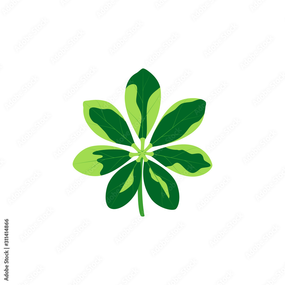 Tropical leaf. Vector illustration on white background. Tropical leaf. Vector illustration on white background.