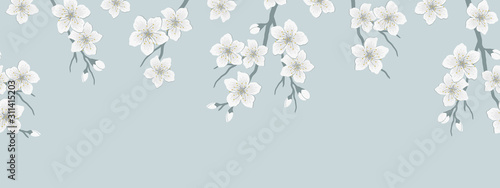 Seamless border with blossoming branches of cherry. A tree branch with white flowers and buds on a gray background. Spring floral background. Vector illustration