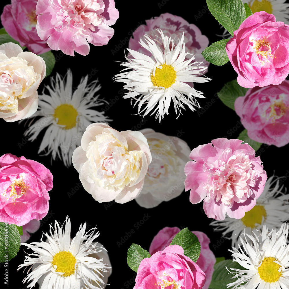 Beautiful floral background of chamomile, peonies and rose hips. Isolated