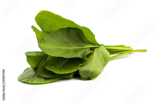 Close up of fresh green spinach isolated on white background photo