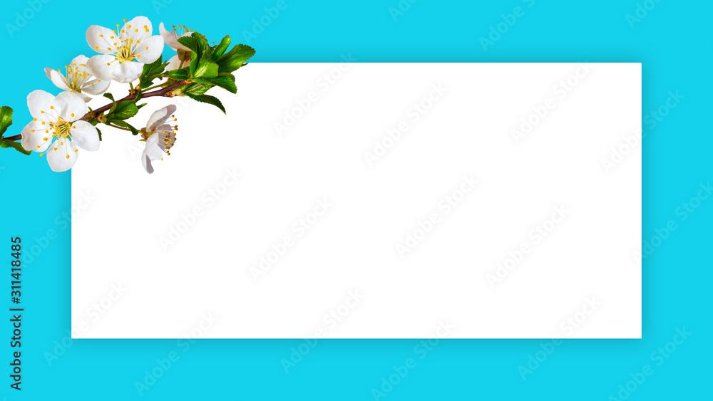 Obraz premium Spring greeting card for holiday with cherry flowers and white frame on gentle light blue background_