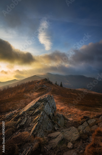 morning in the Bieszczady National Park