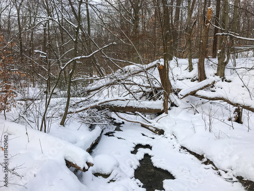 stream in winter forest