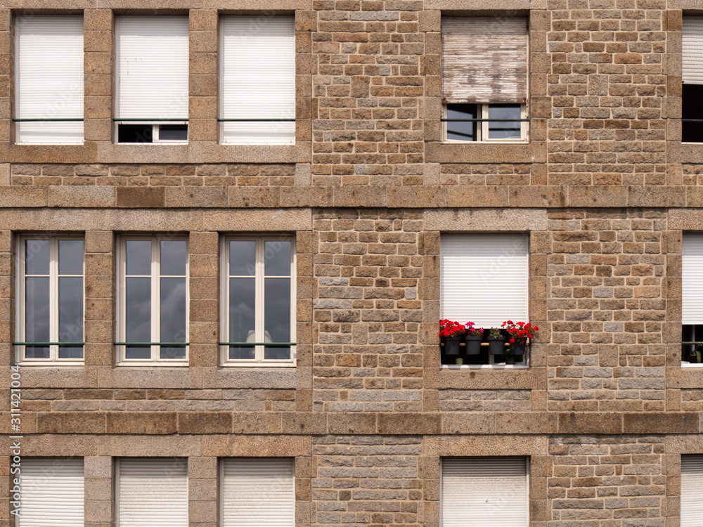 Facade of the stone wall with windows and red flower in the window.