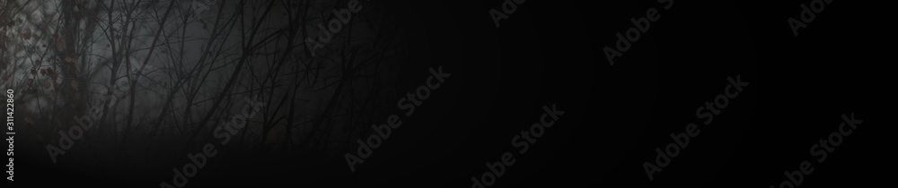 panorama of black background with tree branches panorama of black background with tree branches