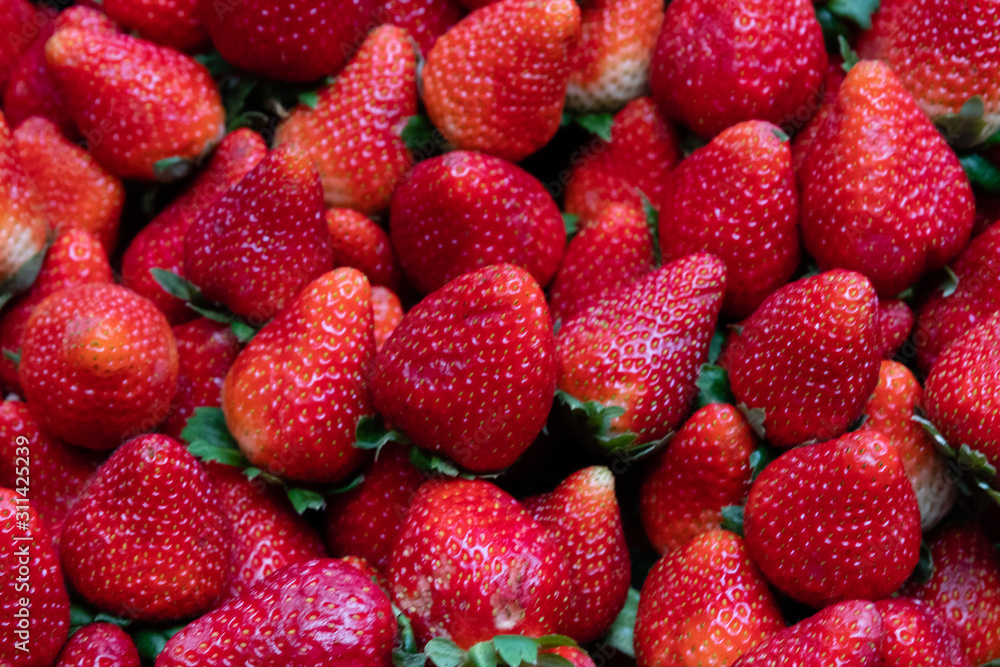 dIVERSAS FRUTAS MERCADO MUNICIPAL dIVERSAS FRUTAS MERCADO MUNICIPAL