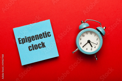 Epigenetic clock concept. Biological aging of human body, research of old age.