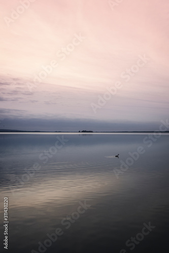A quiet evening at the Steinhuder Meer near Hanover in Germany at sunset © Mike
