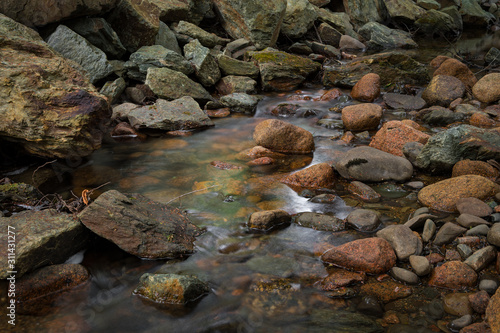 Rocks in Stream in Acadia National Park