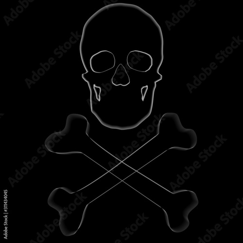 human remains of the skeleton of the skull