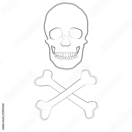 human remains of the skeleton of the skull