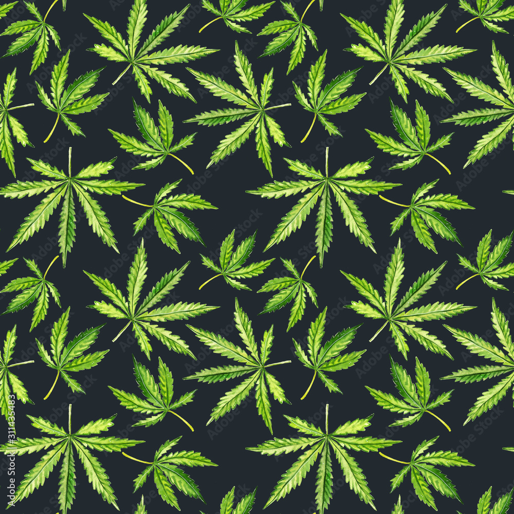 Watercolor hand-painted botany cannabis leaves and branches illustration seamless pattern - wallpaper, wrapping paper, fabrics design 