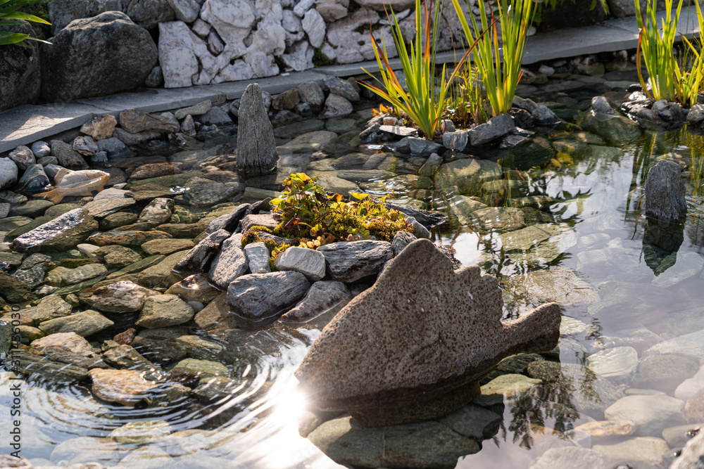 Fototapeta premium Zen ornamental pound, embellished with rocks and the bottom lined with pretty stones. Water iris and aquatic plants. Stone fish.