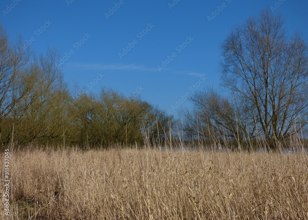 Dry grassland landscape with blue sky Dry grassland landscape with blue sky