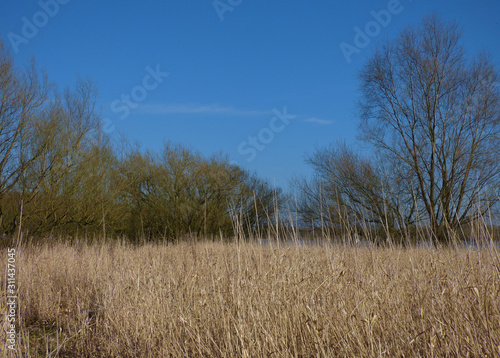 Dry grassland landscape with blue sky