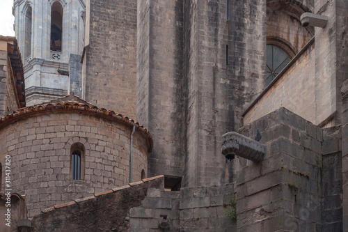 Fototapeta Naklejka Na Ścianę i Meble -  View of the cathedral of Girona. 