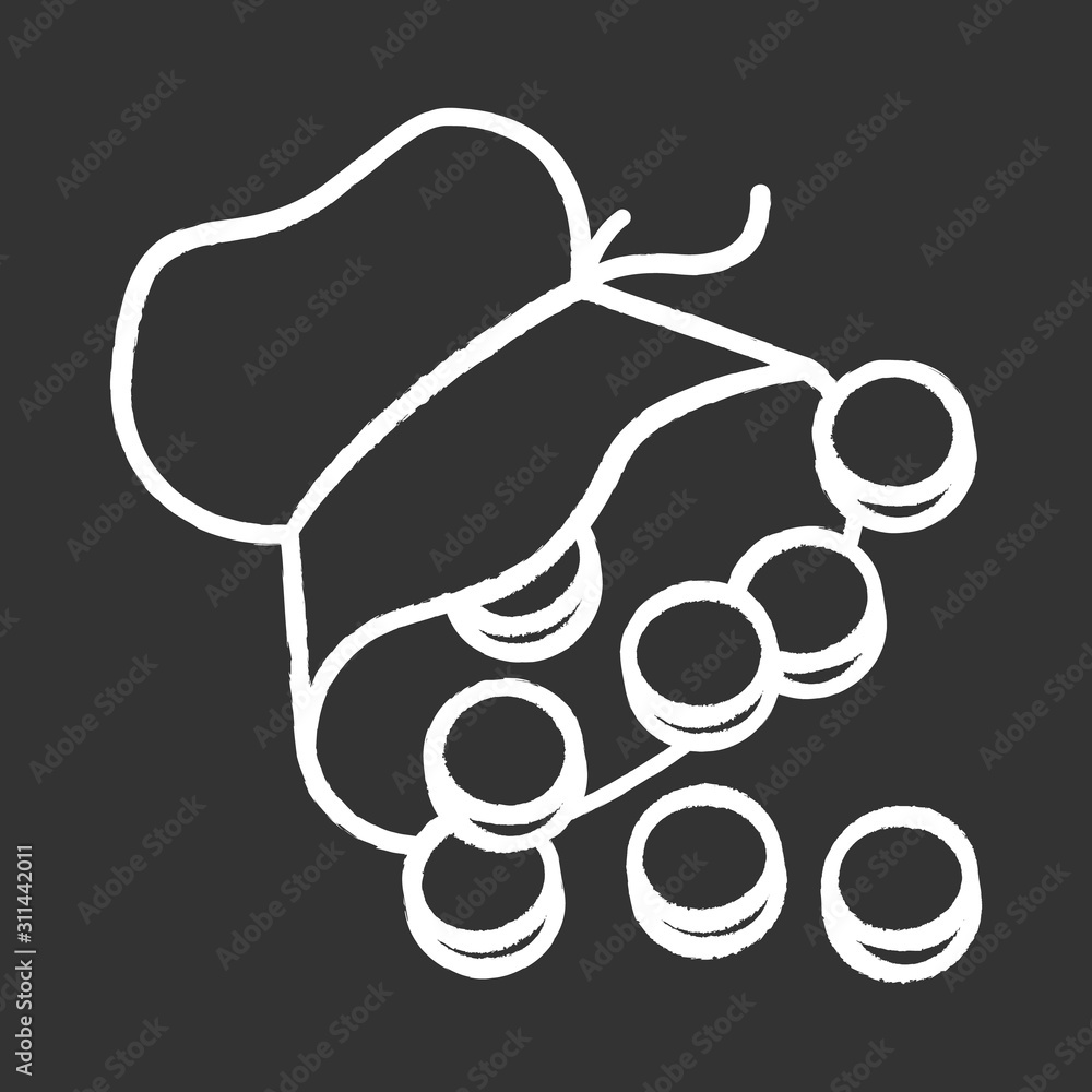 Thirty pieces of silver chalk icon. 30 silver coins. Judas Iscariot money. Coins in pouch. New Testament. Bible narrative. Gospel story. Isolated vector chalkboard illustration Thirty pieces of silver chalk icon. 30 silver coins. Judas Iscariot money. Coins in pouch. New Testament. Bible narrative. Gospel story. Isolated vector chalkboard illustration