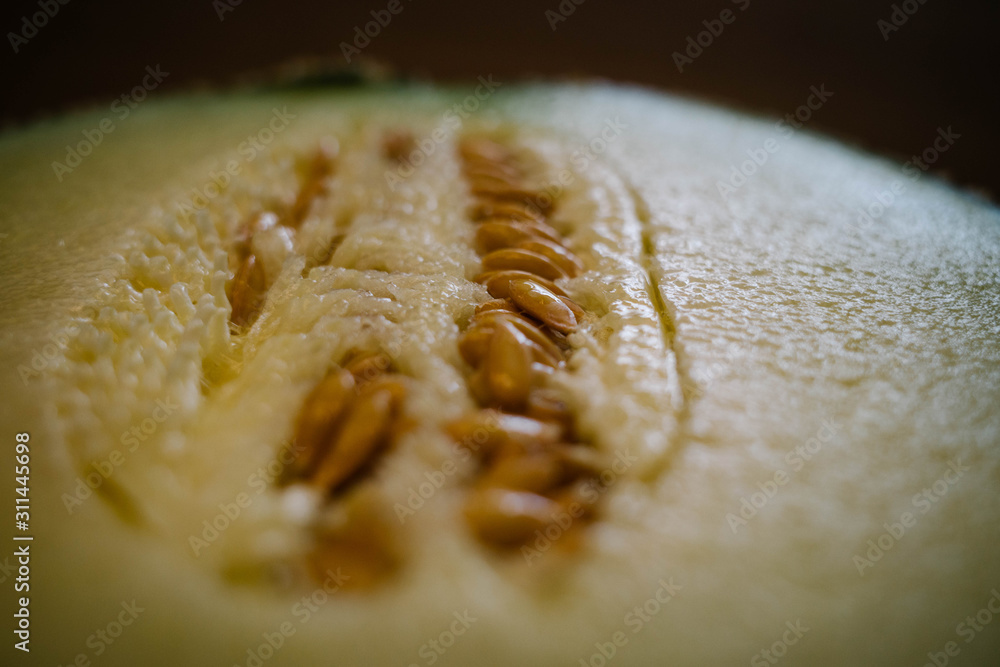 Melon seed Melon seed