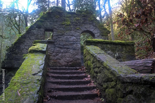 Called the Stone House or Witch's House the bathroom building built by the CCC and distroyed in a storm in '62 stands as a landmark on the Wildwood Trail in Portland's Forest Park. photo