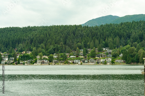 Laguna 
