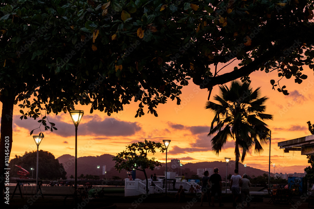 Obraz premium sunset on the beach with trees and palm trees