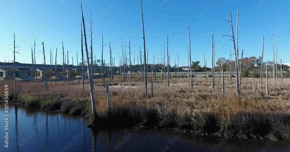 Ghost Tree aerial sweep along river basin Ghost Tree aerial sweep along river basin
