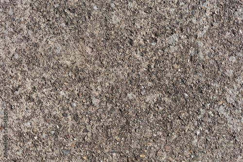 Wallpaper Mural OLD SURFACE OF  ROUGH CEMENT WITH SMAL STONES, BACKGROUND Torontodigital.ca