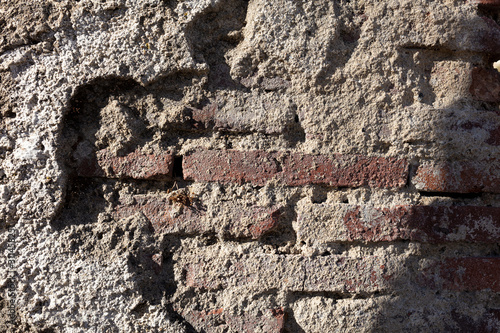 Wallpaper Mural Red brick wall. Texture of old dark brown and red brick wall, backgorund Torontodigital.ca