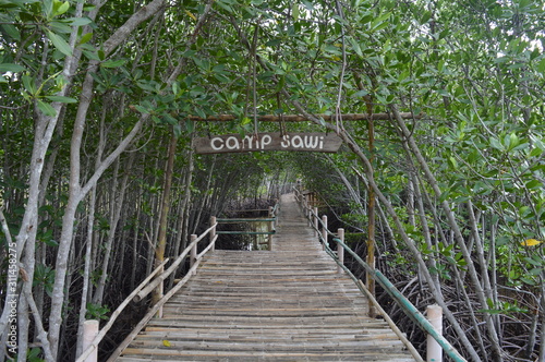 Board Walk Elevated Wooden Walkway Through the Mangrove Forest on Bantayan Island in Cebu  Philippines. Camp Sawi boardwalk