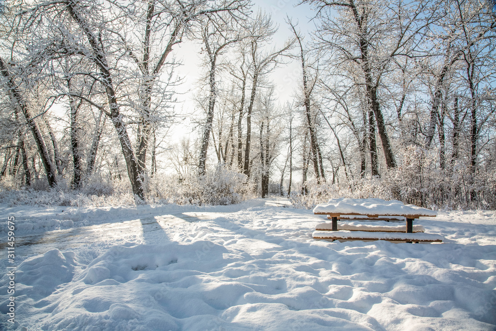 Lonely Picknick table & bench in the park Lonely Picknick table & bench in the park