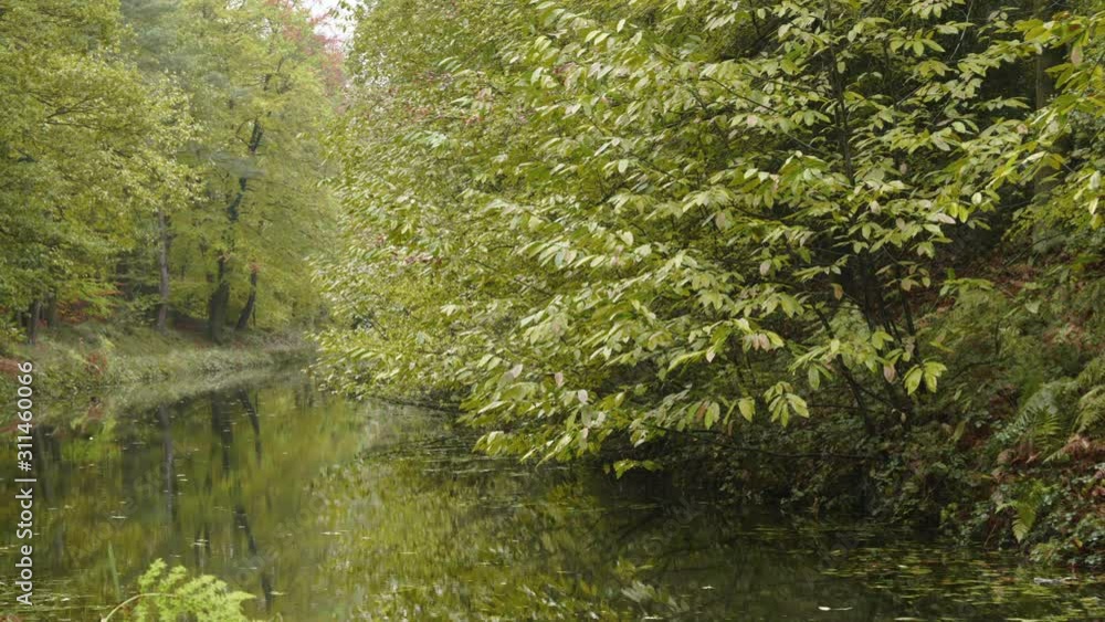 Leaves changing colour, from summer to autumn, in this animation, filmed on the banks of the Basingstoke Canal. Leaves changing colour, from summer to autumn, in this animation, filmed on the banks of the Basingstoke Canal.