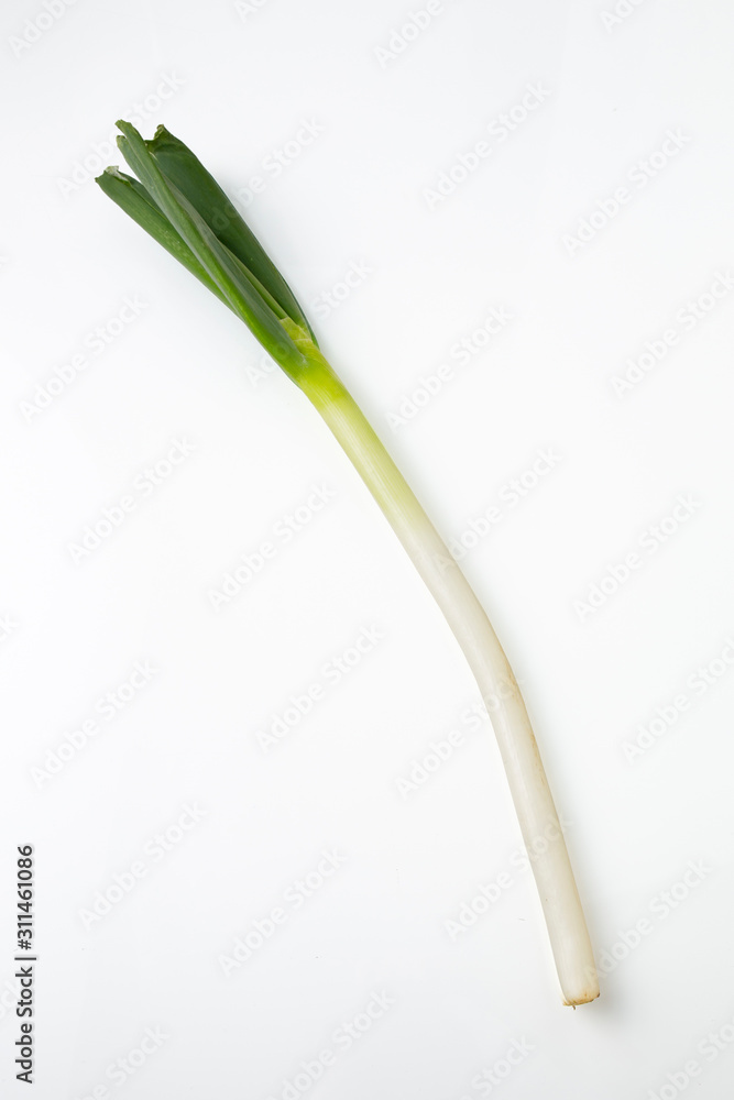 ネギ ネギ