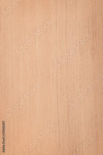 Close up wood texture