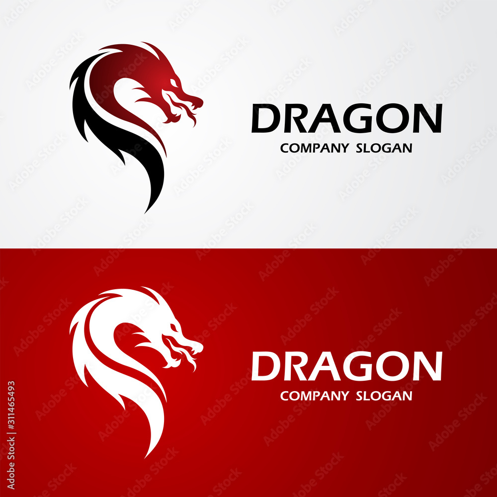 Obraz premium Dragon logo vector