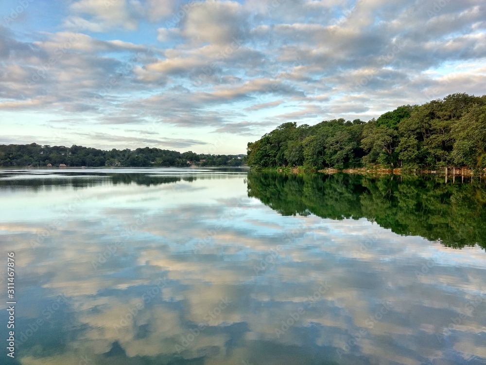 Trees reflected in the Salpeten Macanche Lagoon, Flores Peten, Guatemala