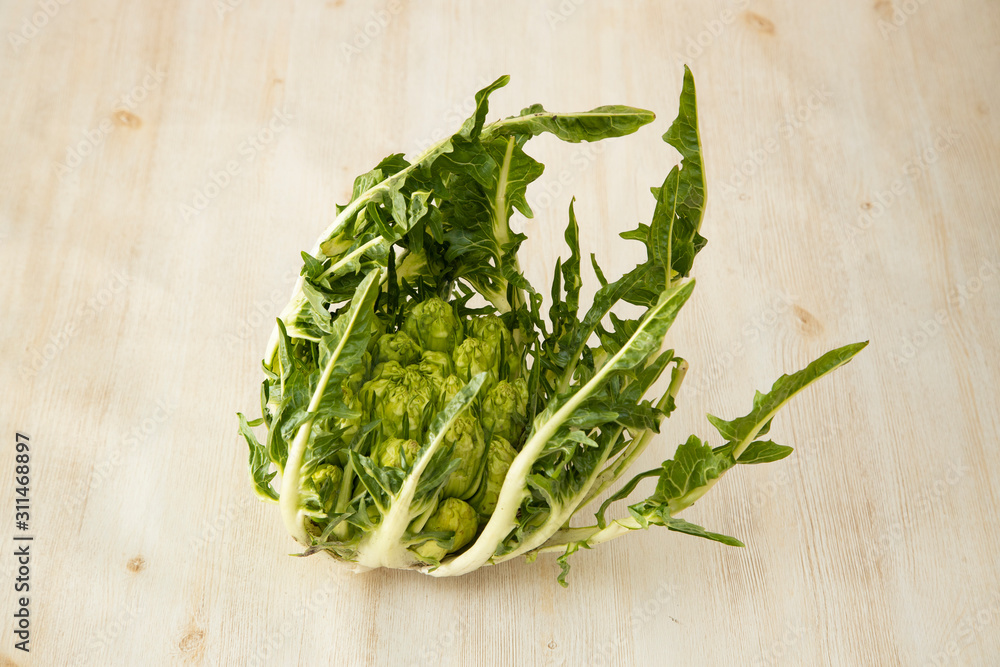 Puntarelle Asparagus Chicory Italian Winter Vegetable Puntarelle Asparagus Chicory Italian Winter Vegetable