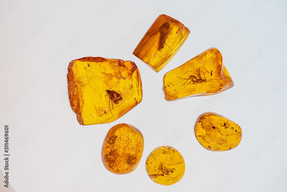 Fototapeta premium Inkluzje owadów w pomarańczowym bałtyckim bursztynie . Baltic amber with inclusions of mosquito, fly, ant isolated on white background