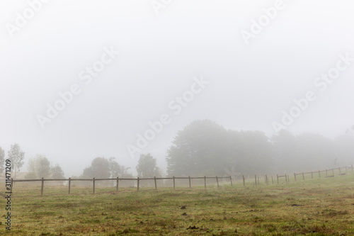Foggy Landscape With Field And Forest