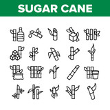 Sugar Cane Agriculture Collection Icons Set Vector Thin Line. Rum Bottle, Water Glass, Bio Organic Sugar Sweet Nutrition Concept Linear Pictograms. Monochrome Contour Illustrations