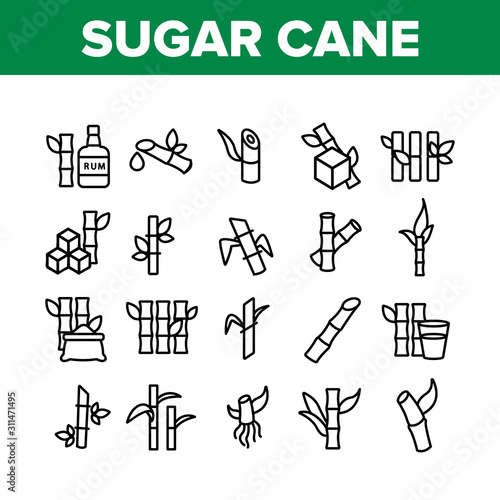 Sugar Cane Agriculture Collection Icons Set Vector Thin Line. Rum Bottle, Water Glass, Bio Organic Sugar Sweet Nutrition Concept Linear Pictograms. Monochrome Contour Illustrations