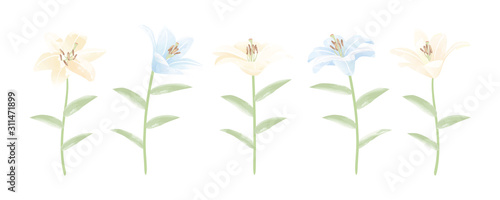 花 植物 ユリ イラスト 一輪 Stock ベクター Adobe Stock 花 植物 ユリ イラスト 一輪 Stock ベクター Adobe Stock