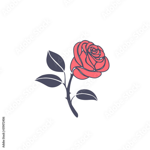 simple illustration rose flower pink color flat design