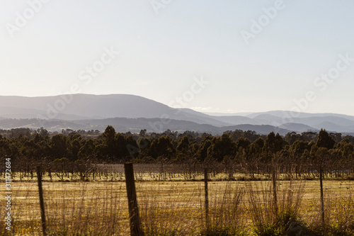Country Landscape With Field And Mountains © timallenphoto