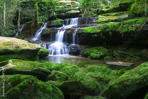 waterfall in forest